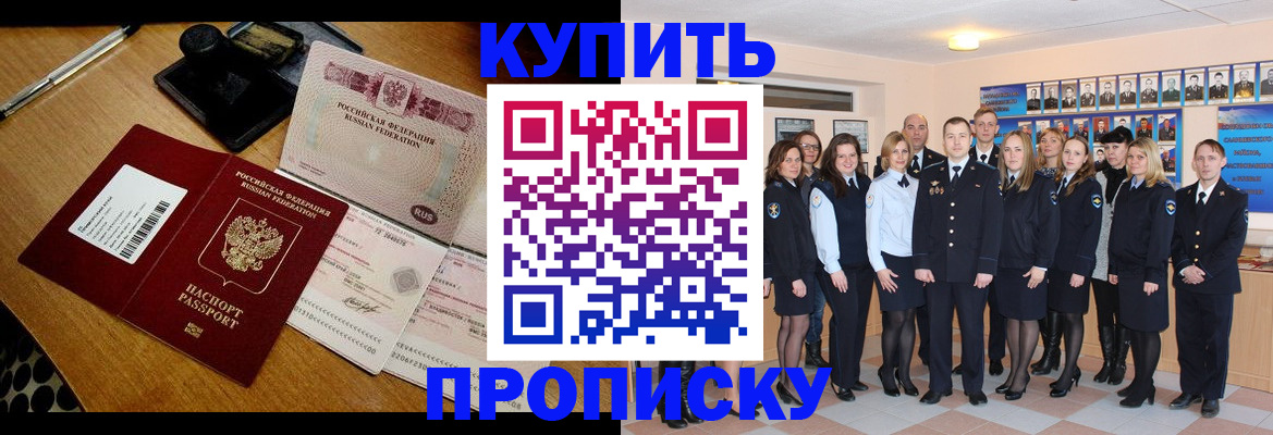 прописка 2025 в Мончегорске